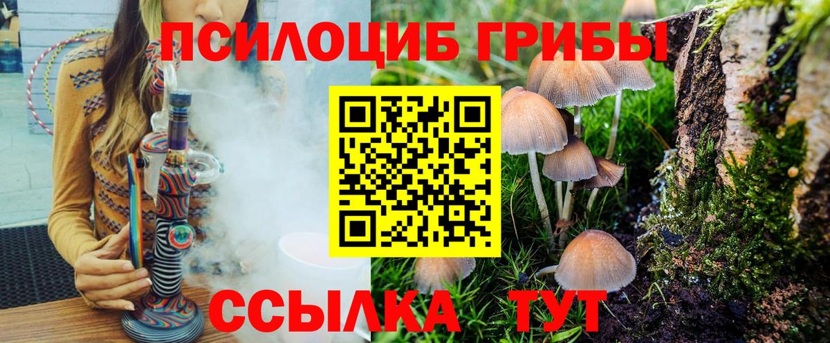 Псилоцибиновые грибы ЛСД  Вход с VPN  Светлоград 